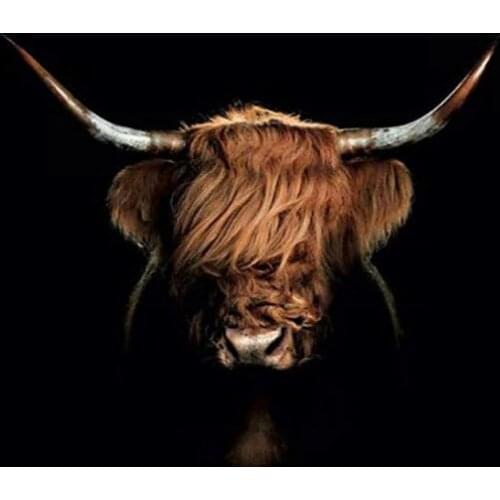 Lovely Cow DIY Paint By Number Kits On Canvas Oil Painting Modern Wall Art Hand Painted Picture Paint For Adult Home Decor