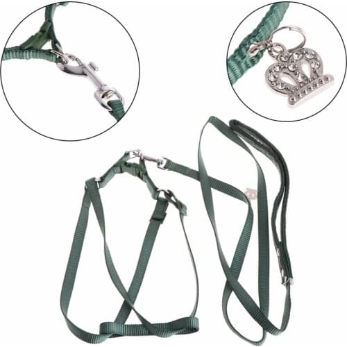 1Pc S/L Size Parrot Bird Leash Outdoor Adjustable Harness Training Rope Anti Bite Flying Band Small Animals Traction Leashes C42