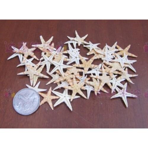 HappyKiss Natural shell decoration jelly candle material 2-3cm