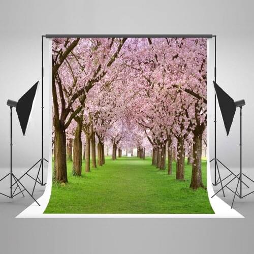 VinylBDS Children Theme Photography Backdrop Fundo Fotografico Newborn Natural Scenery Blue Sky Peach Grass Background Fantasy