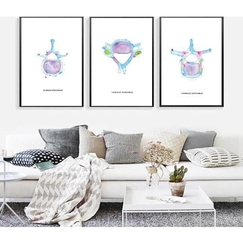 Nordic Watercolor Chiropractic Vertebrae Sketch Wall Art Canvas Painting Posters and Prints Modern Picture For Living Room Decor