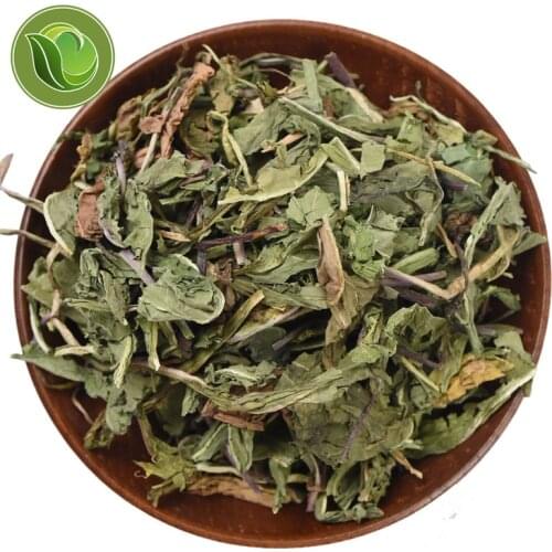 Dandelion Leaf Organic Herb Pu Gong Ying