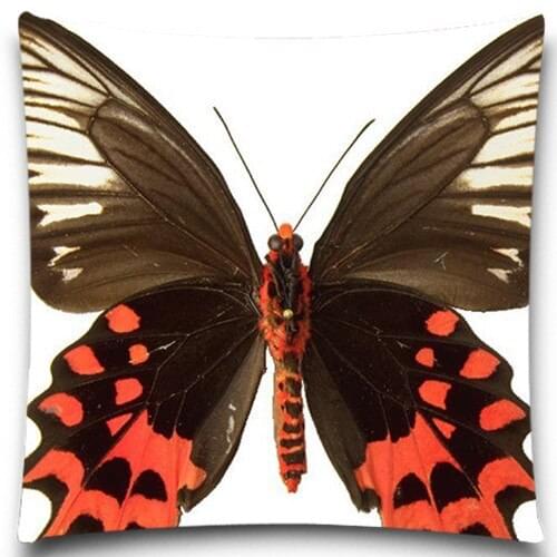 16 18 20 24 inch Decorative For Sofa Car Chair Seat Home Textile Butterfly specimens Natural Style Cotton Polyester Pillow Case