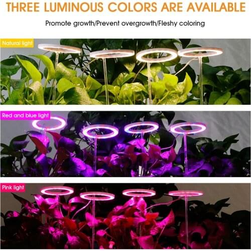 LED Grow Light Full Spectrum Phyto Grow Lamp USB Phyto Lamp For Plants 5V Lamp For Plants Growth Lighting For Indoor Plant