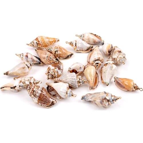 Plating Spiral Cut Shell For Scrapbook Craft DIY Handmade Seashells Glass Bottle Nautical Home Decoration 5pcs