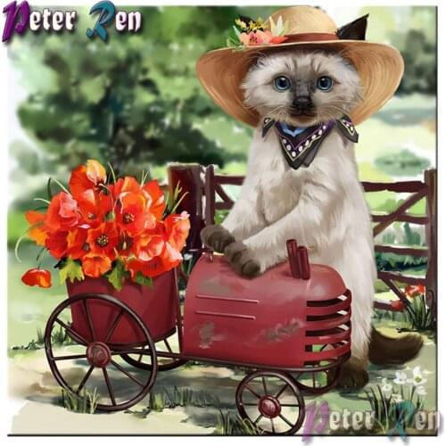 5d full Square/round Cat lady and poppies Diamond painting DIY cross stitch Rhinestones diamond embroidery Childrens gifts