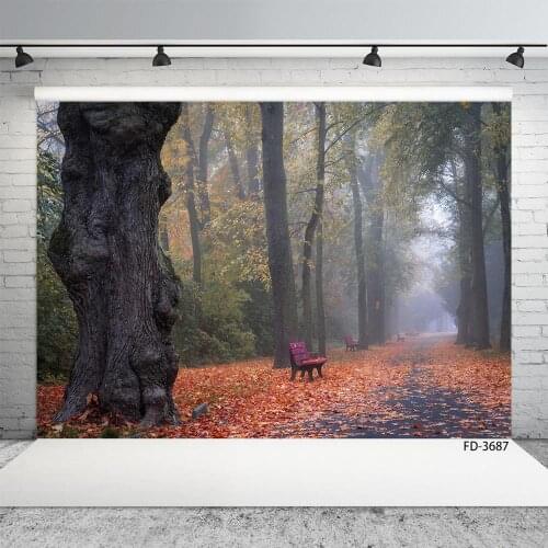 Forest forest park leaves, beautiful scenery, live background, advertising photo background, children photo background