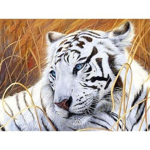 5D DIY Full Square Diamond Painting Kit Animal Diamond Embroidery Cross Stitch White Tiger Mosaic Sale Decor for Home