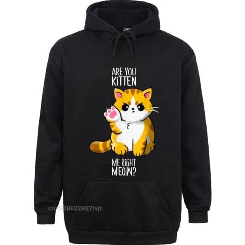 Are You Kitten Me Right Meow Kitten Kitty Funny Cat Lovers Hoodie Custom Men Hoodies Men Hot Sale Cotton Hoodie Cosie