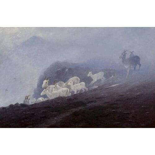 High quality Oil painting Canvas Reproductions Ewes Seeking Shelter By carl rungius hand painted