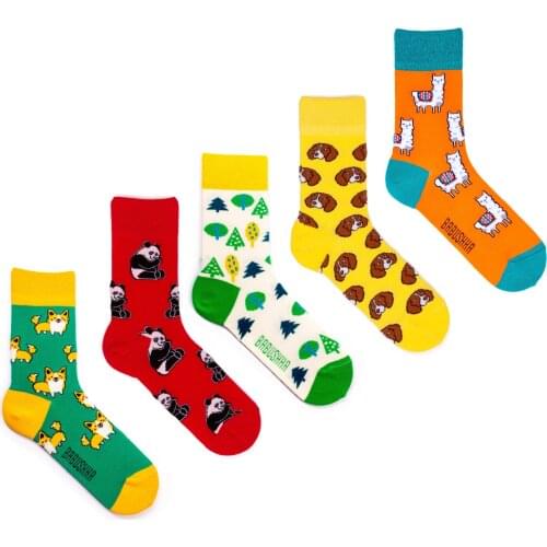 Babushka Women's Socks And Hosiery