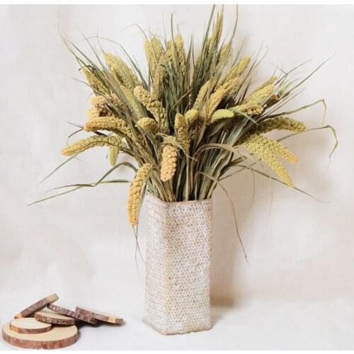 10pcs Natural Dried Wheat Ear Real Wheat Ear Flower Decoration Natural Pampas Rabbit Tail Grass Dried Flowers Home Decor