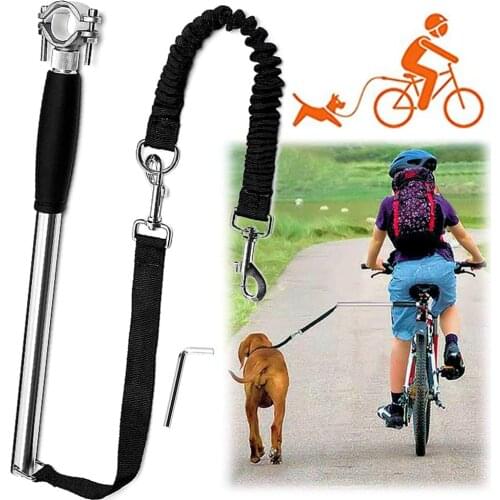 100Petcent Collars, Harnesses And Leashes