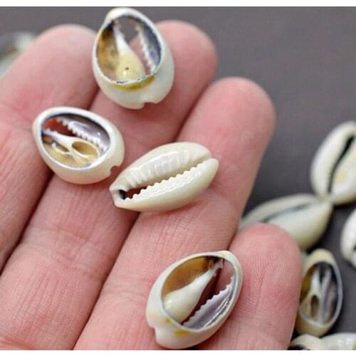 50 Pcs 1.5/2cm Small Bulk Cut Beach Sea Natural Shell Conch Beads Cowry Cowrie Tribal Jewelery DIY Craft Accessories