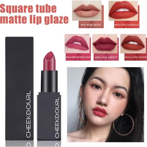 Sexy Matte Lipstick Makeup Silver 5 Color Nude Long Lasting Pigment Waterproof Nutritious Velvet Lips Stick