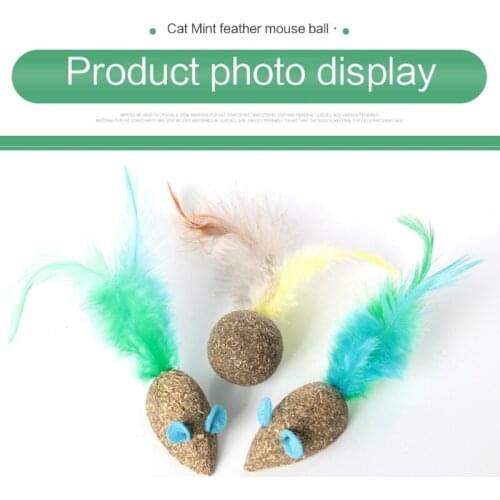 2021 New Safe And Healthy Catnip Toy Molar Mouse Type Cute Cat Chewing Teeth And Clean 100% Natural Wild Pet Toy