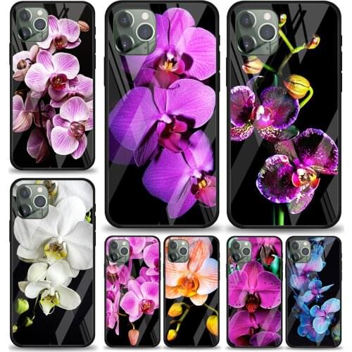 Orchid Flowers Colorful for Apple iPhone 12 Pro Max Mini 11 Pro XS Max X XR 6S 6 7 8 Plus Luxury Tempered Glass Phone Case