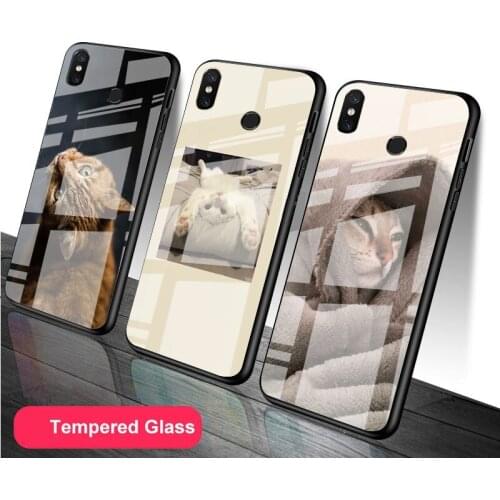 Cute Cat Tempered Glass Phone Case For Redmi Note 5 6 7 8 9 Pro Note8T Note9S Redmi8 9 Cover Shell