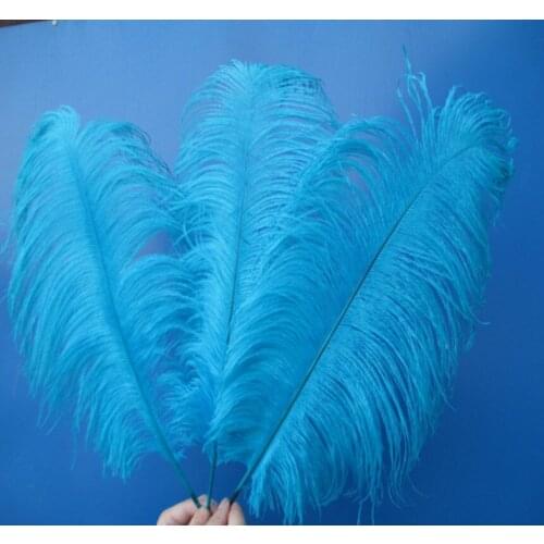Cheap! Beautiful sky blue ostrich feathers 100 pcs 14-16 inches / 35-40 cm Free Shipping