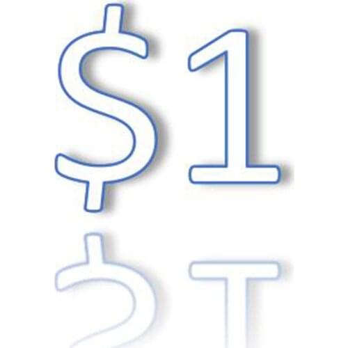Extra Fee $1 for shipping or others
