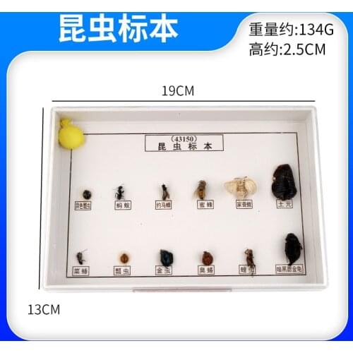 Three Kinds of Beneficial Three Kinds of pests Insect specimen History Specimen Model Biological Entomology Teaching Aids