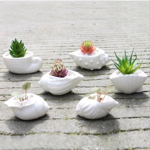 Pinsjar 6pcs/set Mini White Small Flowerpot shell Shape Ceramic Succulent Plant Pot Holder Garden Cactus Flower Pots Planter