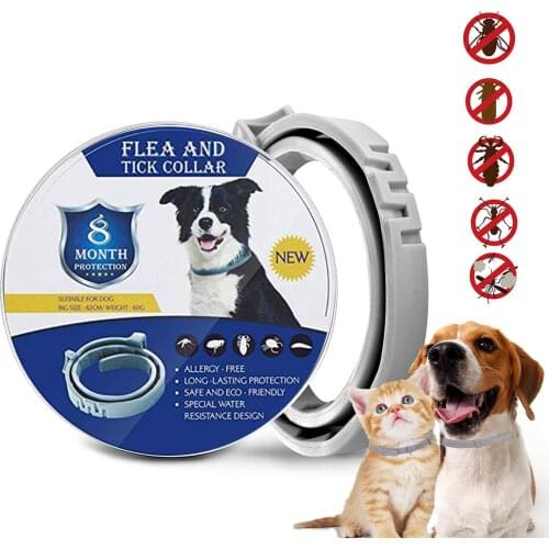 FML PET Collars