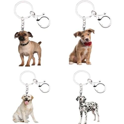 Dog Keychain Llavero de perro 4pcs/set Animal NOT 3D Chaveiro de Cachorro for friends Boyfriend Gift idea on The Backpack Anime