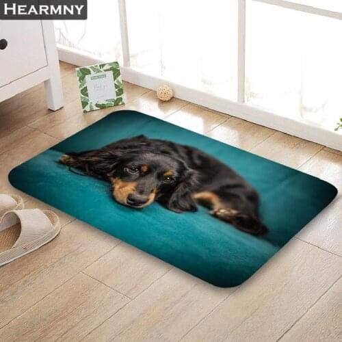 The Dachshund Dog Door Mat High Quality Print Carpets Anti-slip Floor Mat Outdoor Rugs Animal Front Door Mats 40x60 50x80cm