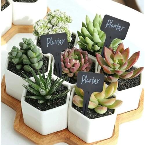 100pcs Black Plant Labels Water T-Types Plant Tag Reusable Nursery Garden Labels Plant Markers for Flower Vegetables Lable