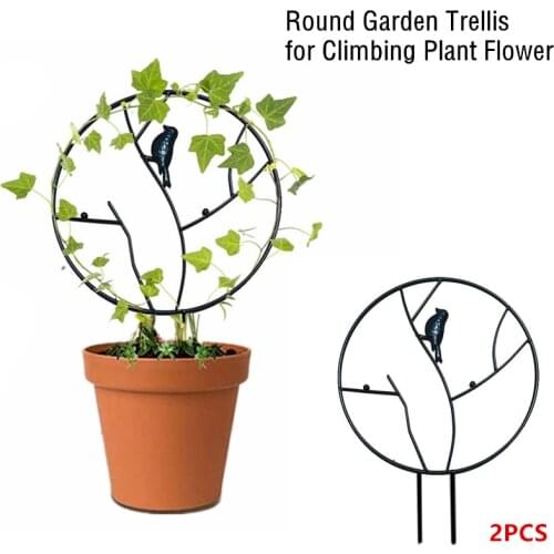2Pcs/Set DIY Round Garden Flowers Climbing Stand Metal Gardening Support Frame Vegetables Vines Trellis Bracket