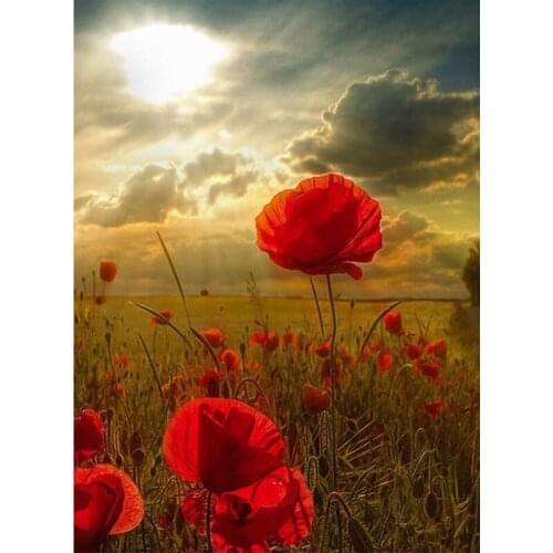 Full Square 5D DIY Diamond Painting Red poppy flowers 3D Embroidery beaded Cross Stitch Mosaic painting Home Decoration FG2092