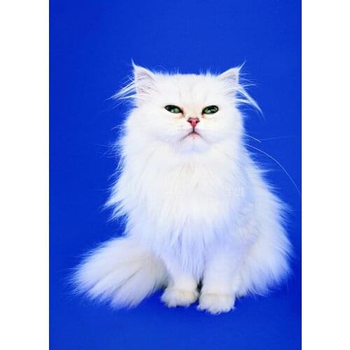 3D White Cat Patchwork Diy Diamond Painting Set Square Full Diamond Home Decor Sewing Supplies Artificials Diy Embroidery