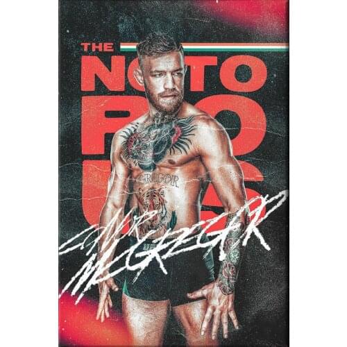 Conor McGregor Art Silk Poster Print 24x36inch