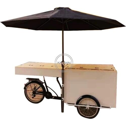 Electric 3 Wheels Bicycle Ice Cream Freeze Food Cart Adult Cargo Transportation Tricycle Coffee Vending Tricycles