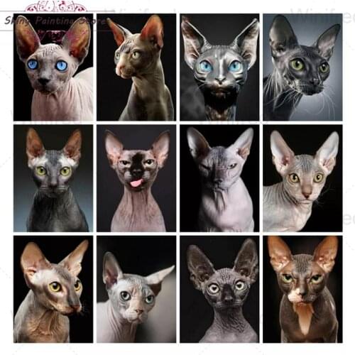 5D DIY Diamond Painting Sphynx Cat Home Decor Diamond Embroidery Full Square Round Drill Cross Stitch Pet Animal Mosaic Wall Art