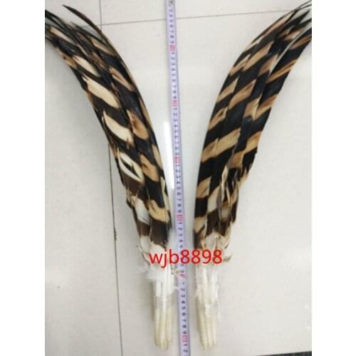 Wholesale 2 pcs/Many Natural Beauty Zebra Pattern Eagle Feathers Rare 20-24 inches 50-60 cm Celebration Performance Decoration