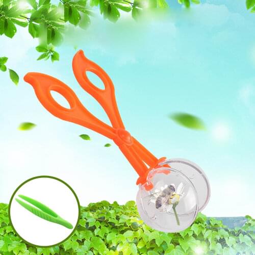1PCS Scissor Clamp with Transparent Ball 1PCS Tweezers Nature Exploration Toy Insect Study Tool for Kids Gift School Project