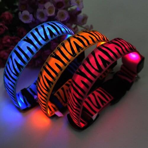 Poodle led dog collar light personalized collars cat necklace luminous pets accessories halsband hond products all for dogs