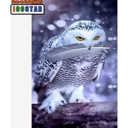 Diy embroidery with diamonds needlework diamond painting mosaic dmc paint animals snowy owl cross-stitch handmade dcor