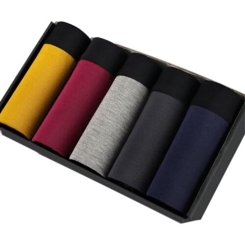 5pcs Mens Panties Shorts Boxers Underwear Man Slip Underpants Sets Colorful Modal Underpants Breathable Boxershorts Men Summer