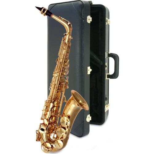 Alto saxophone New E flat Alto sax super High Quality professional grade musical instruments With mouthpiece Gift