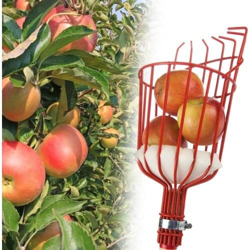 Multi-functional Garden Tools Practical Classic Metal Apples Pears Peaches Oranges Gardening Fruits Catcher Picker