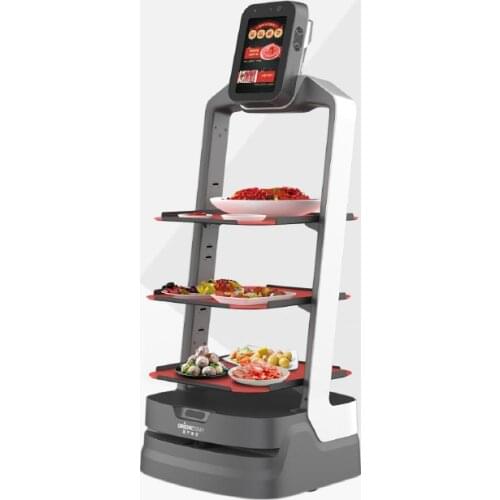 OrionStar AI Delivery Service Robot Support Chinese, English, Korean, Japanese four languages Other languages can be customized