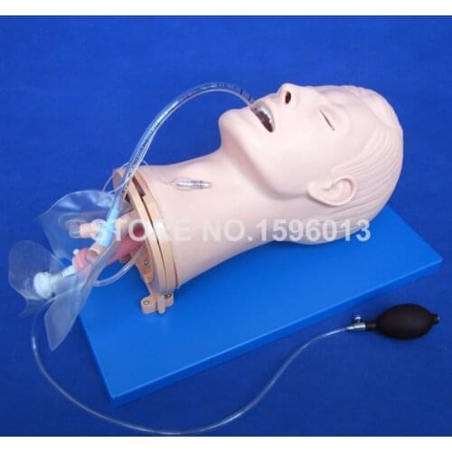 Advanced Multi-functional Airway Management Model,Endotracheal airway Intubation Trainer