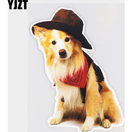 YJZT 12×16.5CM Stylish Border Collie Animal Car Stickers Funny Vinyl Decals Decoration Accessories 21A-0284