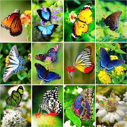 MomoArt 5D DIY Diamond Painting Butterfly Craft Kit Diamond Embroidery Animal Diamond Mosaic Flower Wall Decorations
