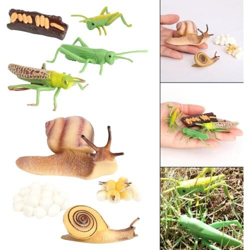 Kids Simulation Animal Figures Toys Grasshopper Snail Growth Process Models