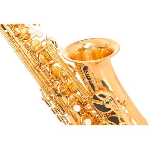 SAIDESEN SAS-100 Eb Alto Saxophone Brass Gold Plated Carving E Flat Alto Sax Musical Instrument with Mouthpiece Case