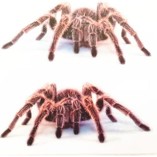 3D Spider Car Stickers Decal Animals Car Styling Sticker for Land Rover Range Rover/Evoque/Freelander/Discovery